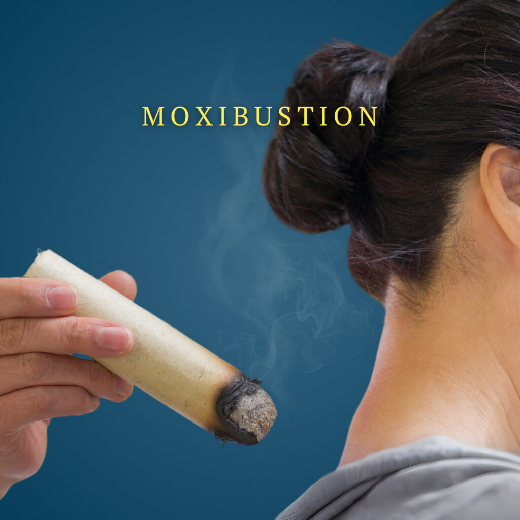 IMG_5312