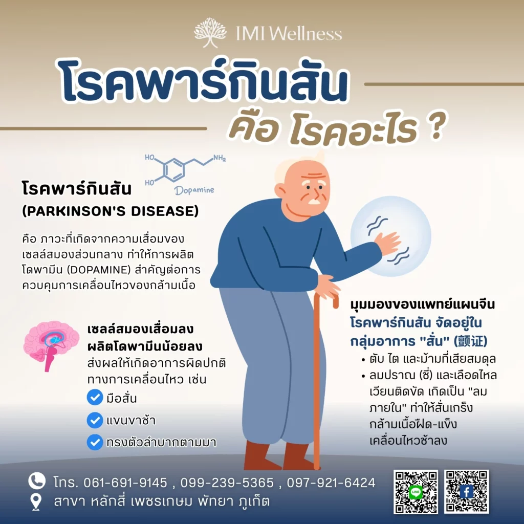 สมุนไพรจีนรักษาพาร์กินสัน