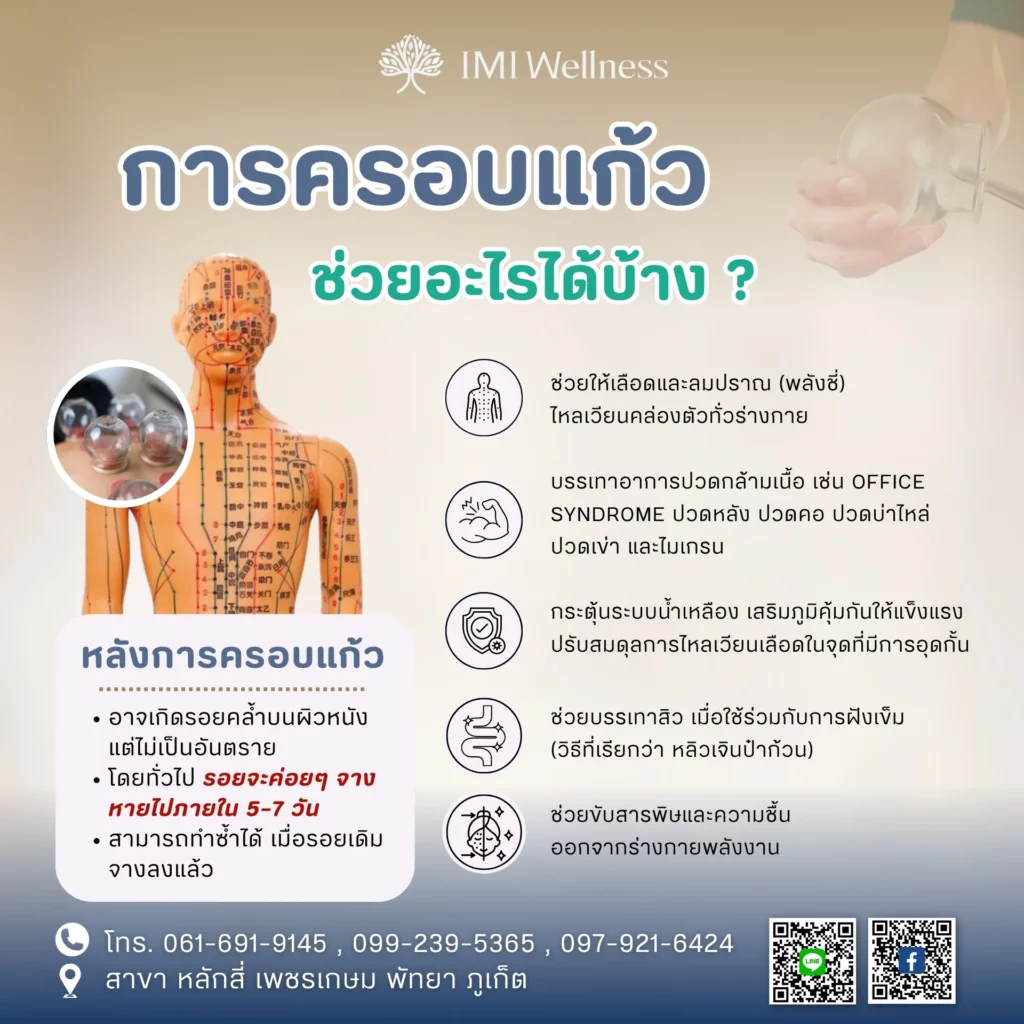 อินโฟกราฟิกประโยชน์และการดูแลหลังครอบแก้ว