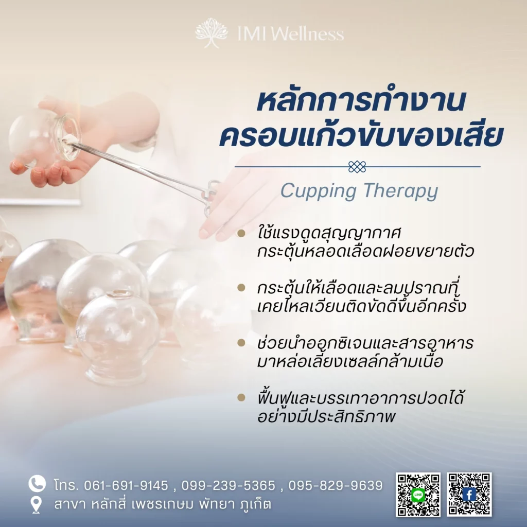 อินโฟกราฟิกอธิบายหลักการทำงานของการครอบแก้วขับของเสีย