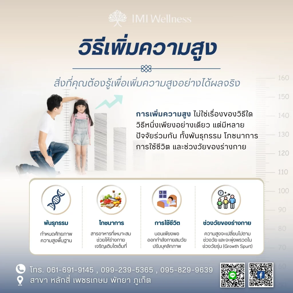 อินโฟกราฟิกปัจจัยที่กำหนดความสูง ได้แก่ พันธุกรรม โภชนาการ การใช้ชีวิต และช่วงวัย