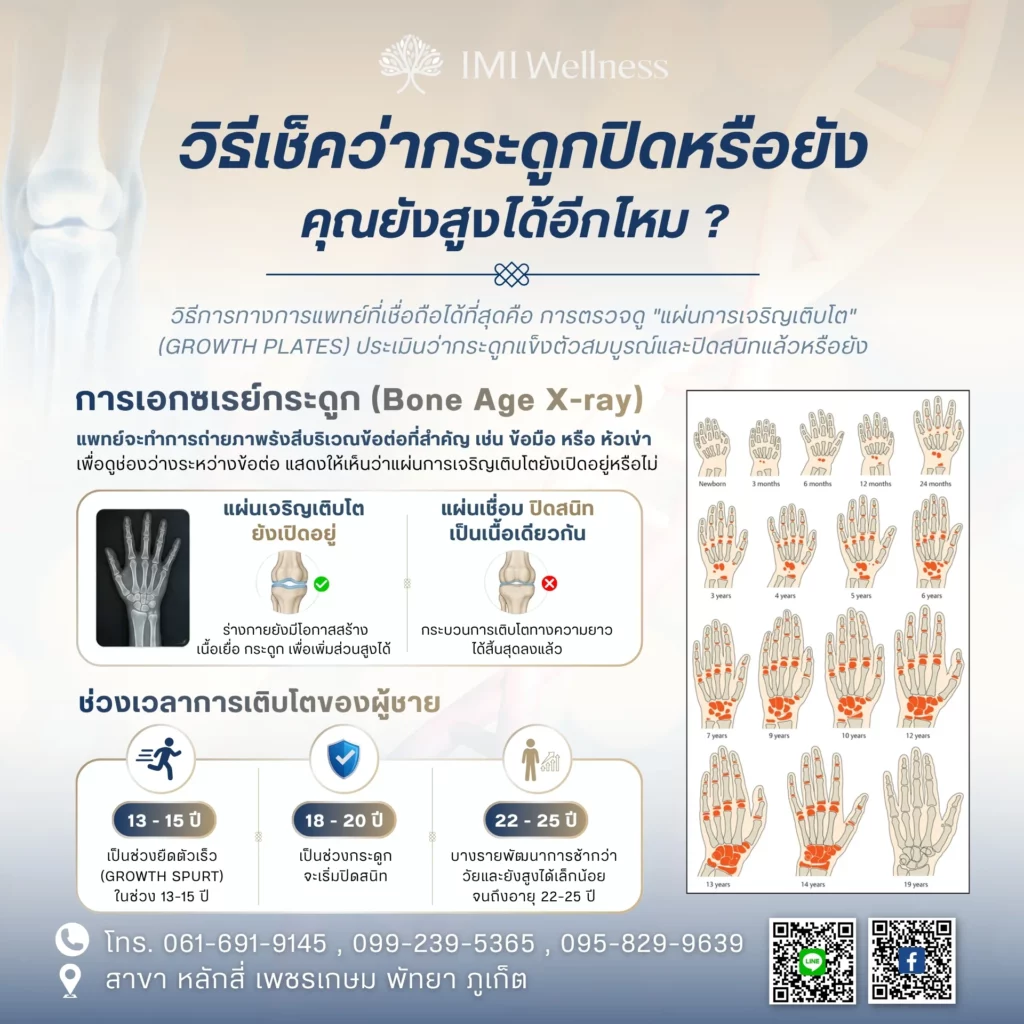 อินโฟกราฟิกการตรวจอายุกระดูกและช่วงเวลาการเจริญเติบโตของผู้ชาย