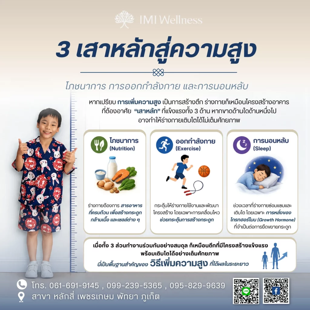 อินโฟกราฟิก 3 เสาหลักสู่ความสูง ได้แก่ โภชนาการ การออกกำลังกาย และการนอนหลับ