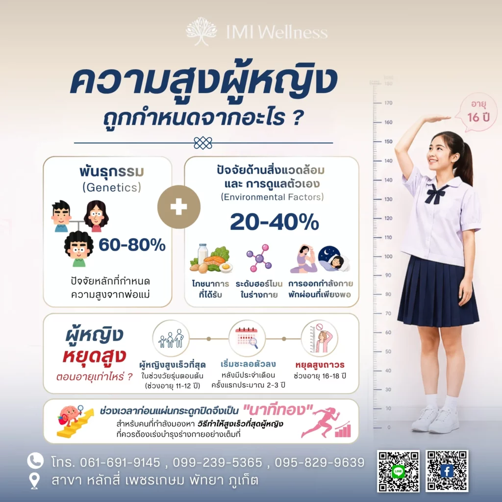 อินโฟกราฟิกปัจจัยที่กำหนดความสูงและช่วงวัยที่ผู้หญิงหยุดสูง