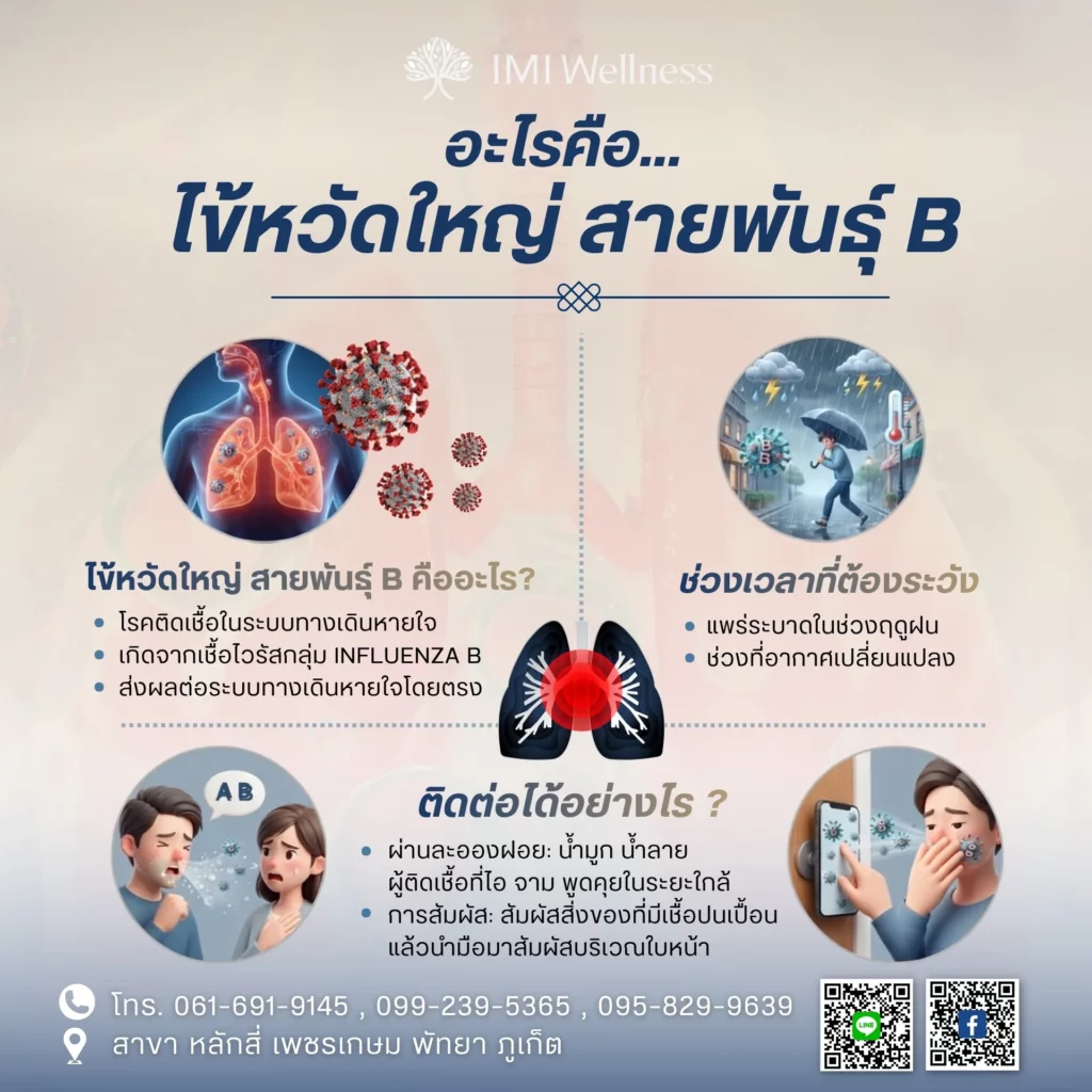 อินโฟกราฟิกไข้หวัดใหญ่สายพันธุ์ B คืออะไร การติดต่อ และช่วงระบาด