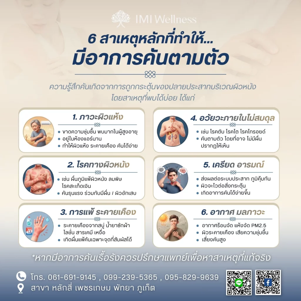 อินโฟกราฟิก 6 สาเหตุหลักของอาการคันตามตัว