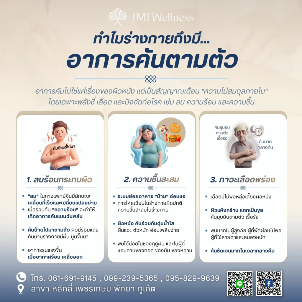 อินโฟกราฟิกสาเหตุอาการคันตามตัวตามมุมมองแพทย์แผนจีน