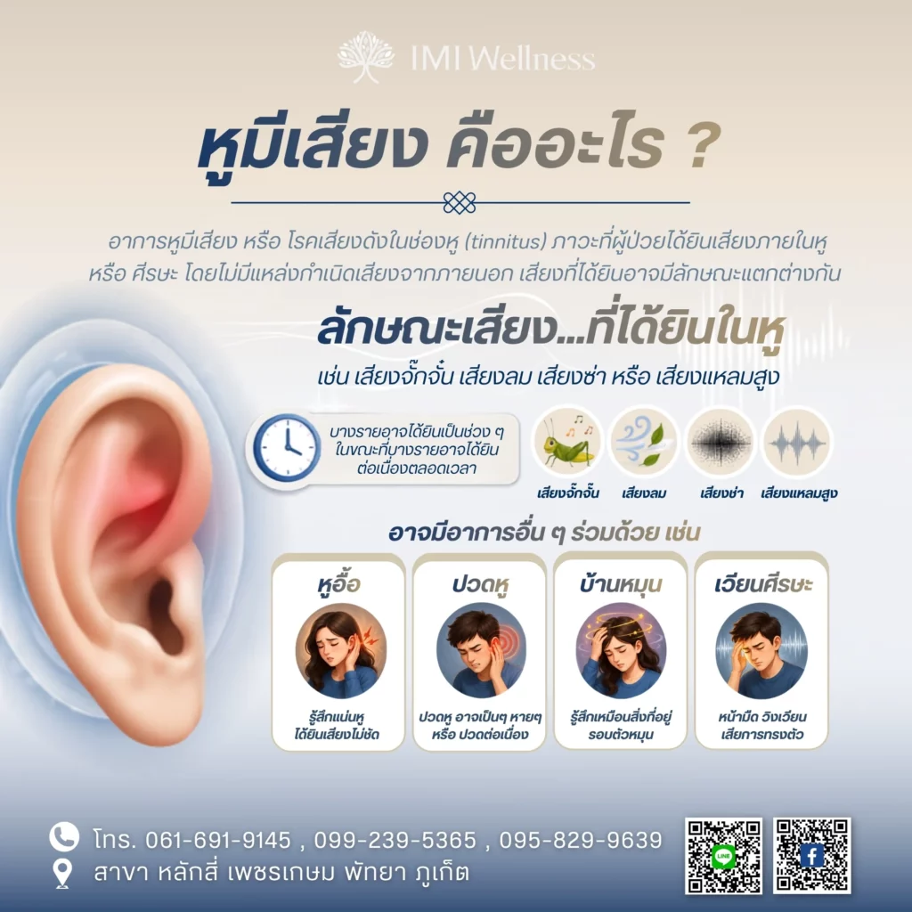 อินโฟกราฟิกลักษณะเสียงและอาการร่วมของภาวะหูมีเสียง