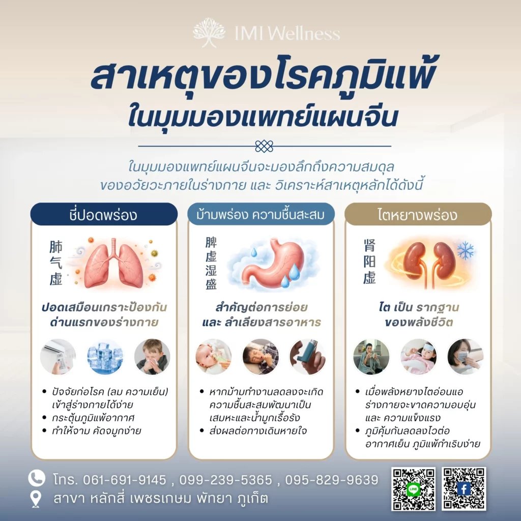 สาเหตุของโรคภูมิแพ้ในมุมมองแพทย์แผนจีน