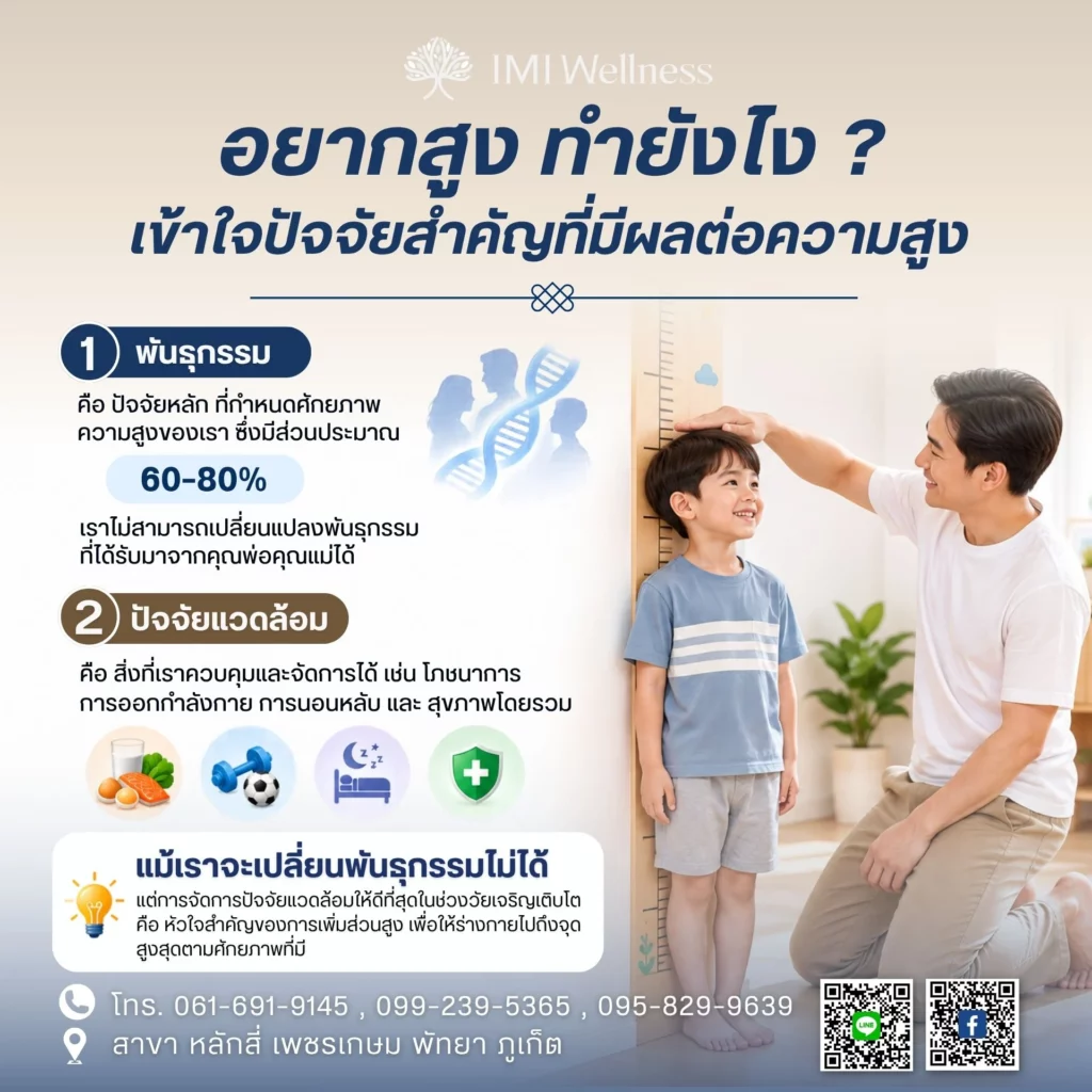 ปัจจัยสำคัญที่มีผลต่อความสูง